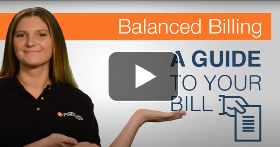 Thumbnail image showing utility customer engagement through PSEG Long Island's Balanced Billed video. 